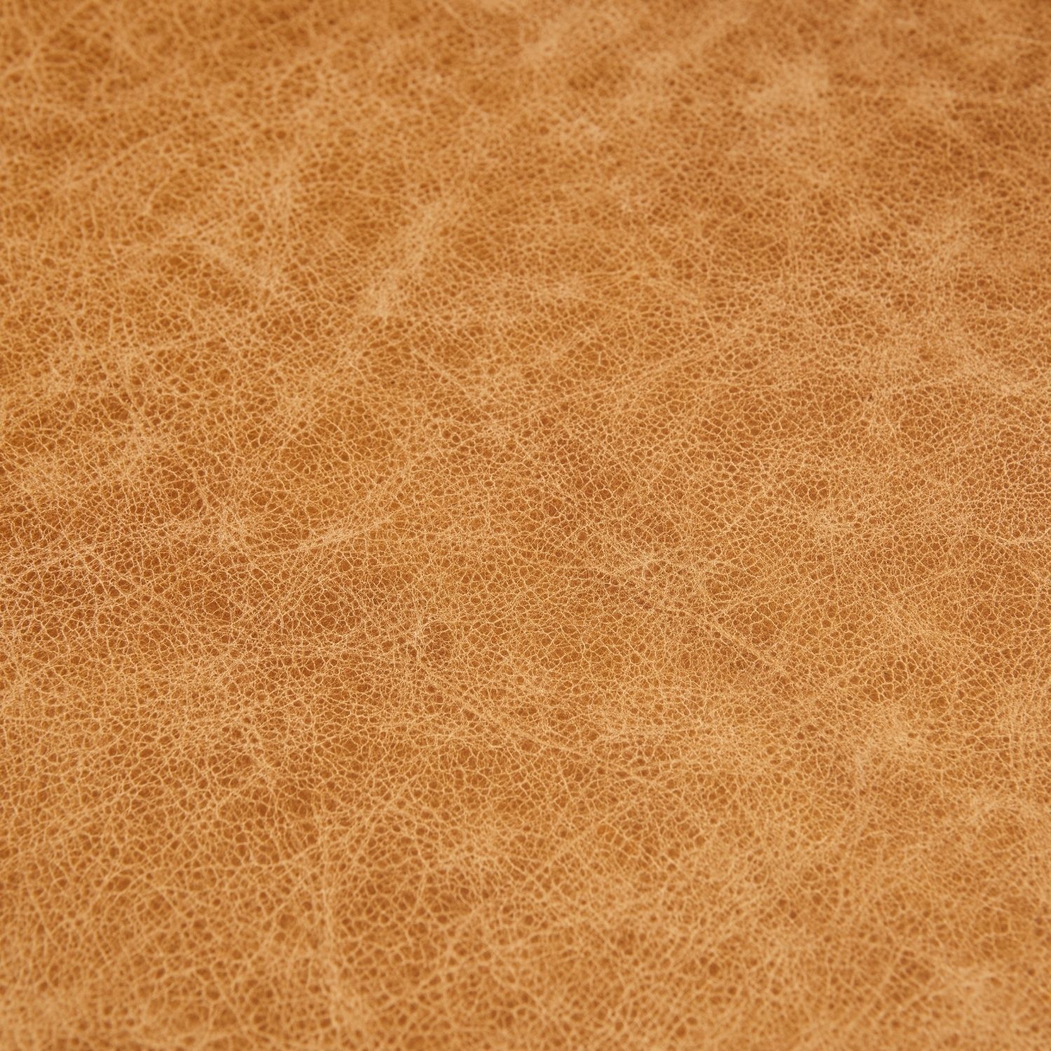 Fau Office Chair - Image 4